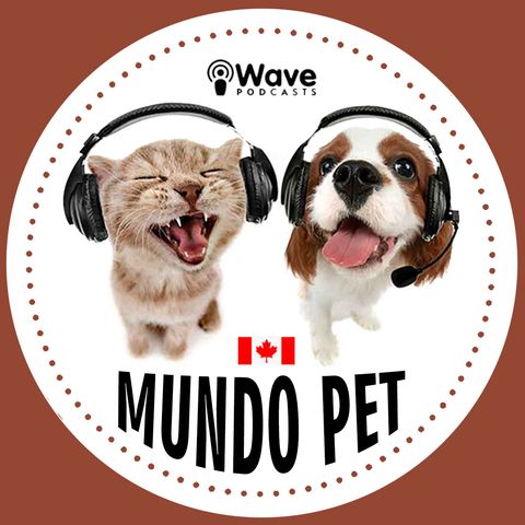 Ep. 04 - Adoção de Pets [Henrique Raboch]