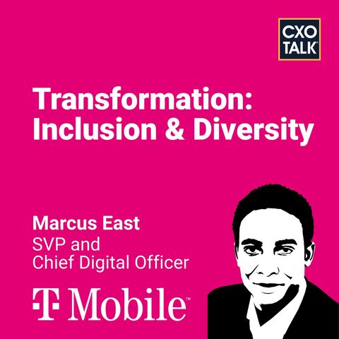Digital Transformation: Inclusion and Diversity
