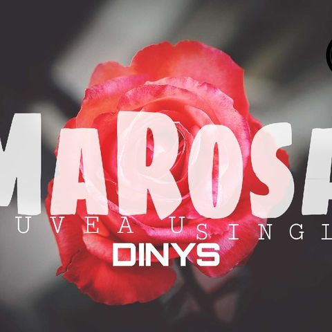 DINyS: Ma rosa