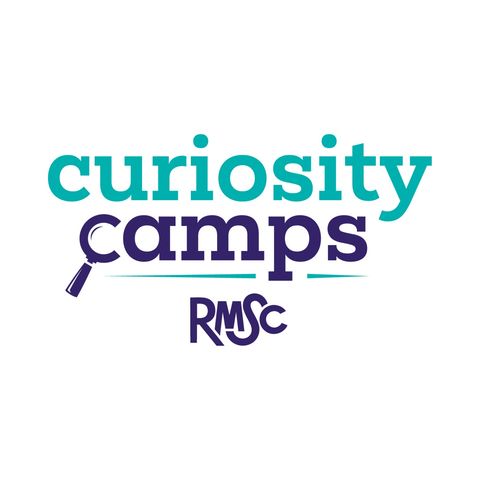 Curiosity Camps - What’s Going on at Camp this Week