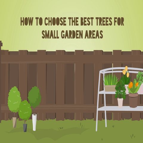 How To Choose The Best Trees For Small Garden Areas