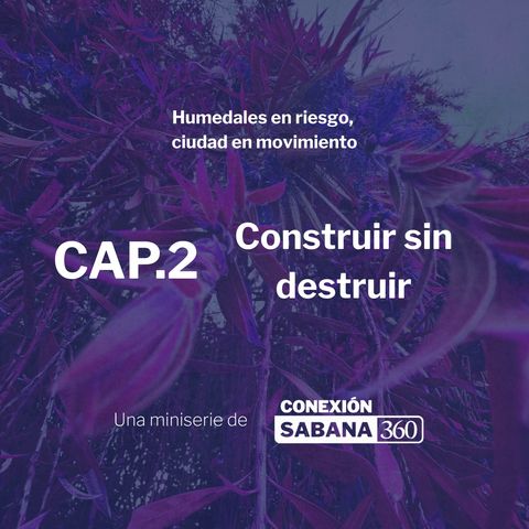 Capítulo 2: Construir sin destruir