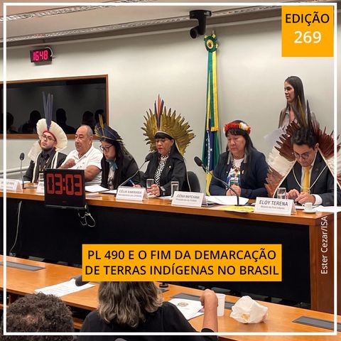 O PL 490 e o fim da demarcação de terras indígenas no Brasil
