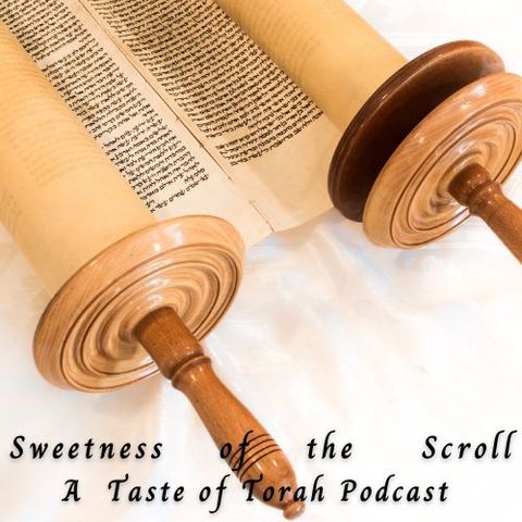 Introduction to Taste of Torah