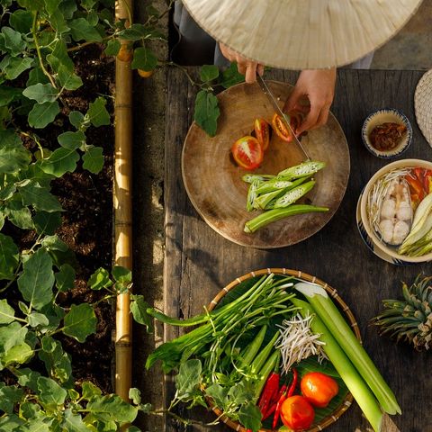 Viajar a través de la gastronomía, la mejor manera de conocer la cocina tradicional