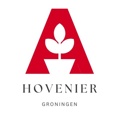 Hoe je een onderhoudsvriendelijke tuin ontwerpt