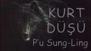 Kurt Düşü  P’u Sung-Ling sesli kitap tek parça