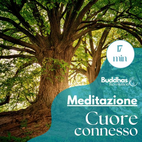 Cuore connesso