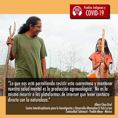 México: Situación del pueblo Maya frente a la pandemia