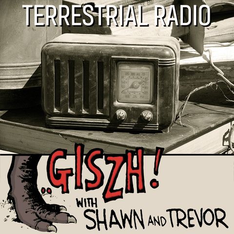 Terrestrial Radio