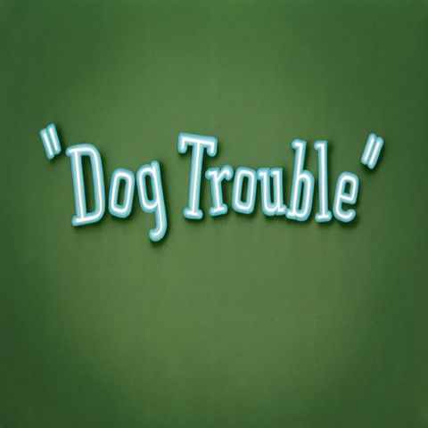 5. Dog Trouble