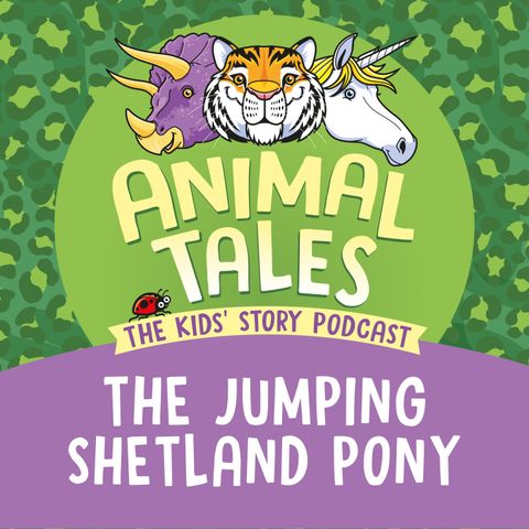 The Jumping Shetland Pony