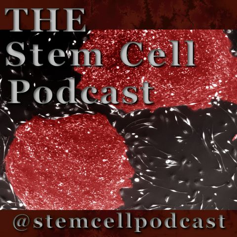 Ep. 38: Cell Transplant Therapy Featuring Dr. Lorenz Studer