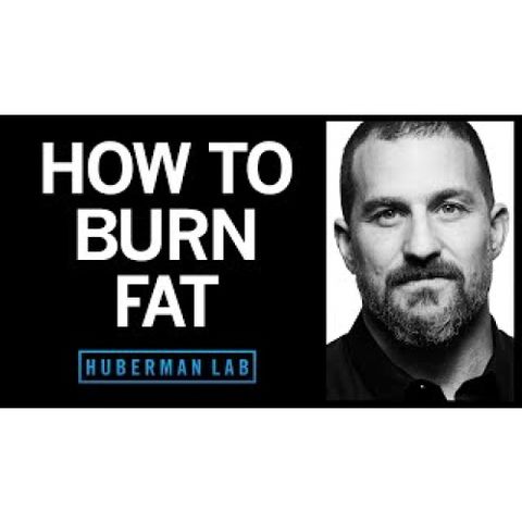 How to Lose Fat with Science-Based Tools