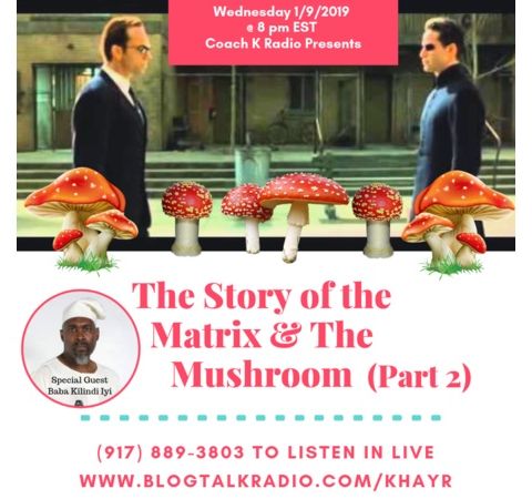 The Story Of The Matrix & The Mushroom w Guest Kilindi Iyi (part 2)