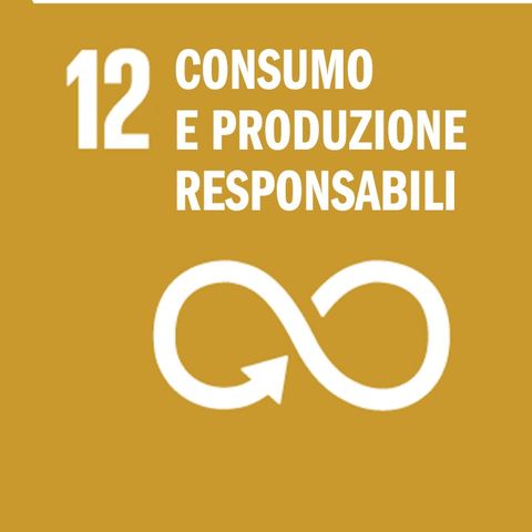 Obiettivo 12 agenda ONU 2030: Garantire modelli di consumo e produzione sostenibili