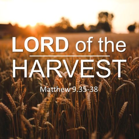 Lord of the Harvest (Matt. 9.35-38)