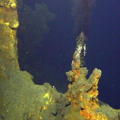 Deep Sea Mining and the Coronavirus