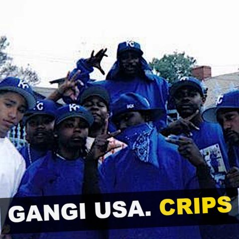 Gangi USA. Crips - Kryminalne Opowieści Świat