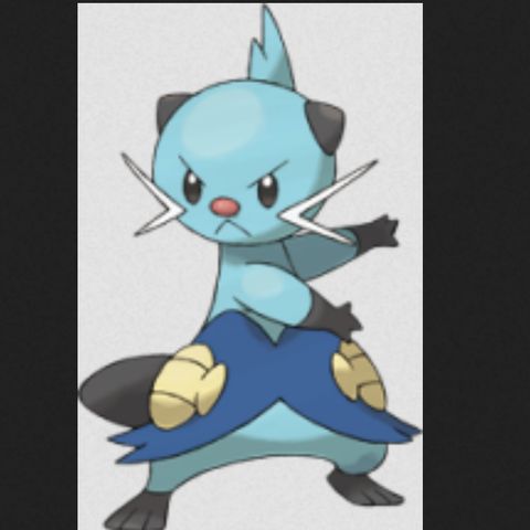 #502 Dewott