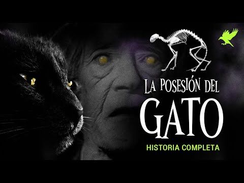 003. LA POSESIÓN DEL GATO (HISTORIA COMPLETA)  Historias de terror  Gritos en la noche