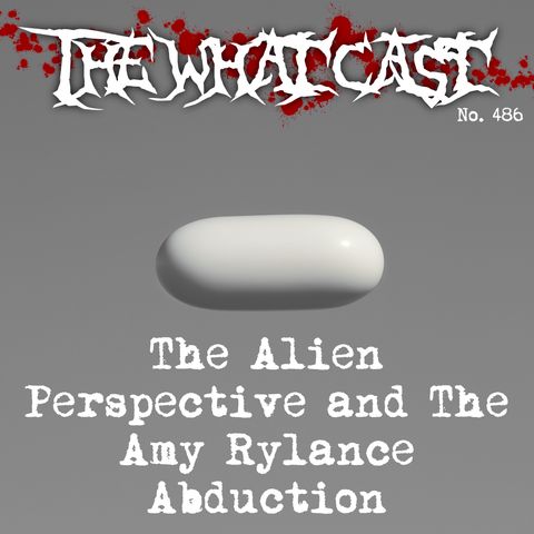The What Cast #486 - The Alien Perspective Doc and The Amy Rylance Abduction