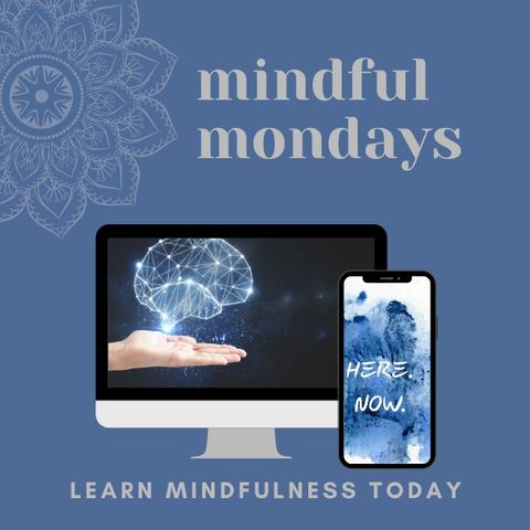 Episode 8: An interview with a Monk on Mindfulness
