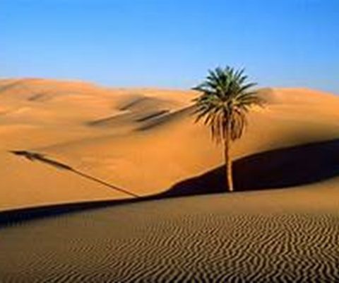 il deserto ... per accoglierlo vittorioso