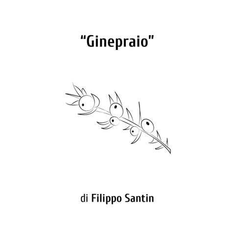 "Ginepraio" - di Filippo Santin