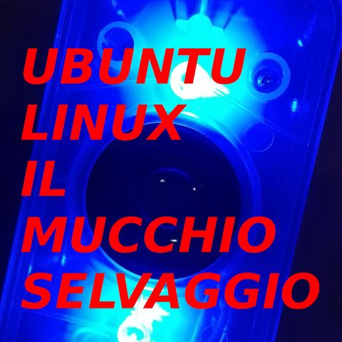 Ubuntu, Linux e il mucchio selvaggio