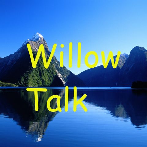 The REAL Willow Talk Episode 4