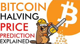Bitcoin Halving Price Prediction [explained]
