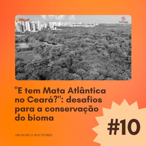 #10 - "E tem Mata Atlântica no Ceará?": desafios para a conservação do bioma