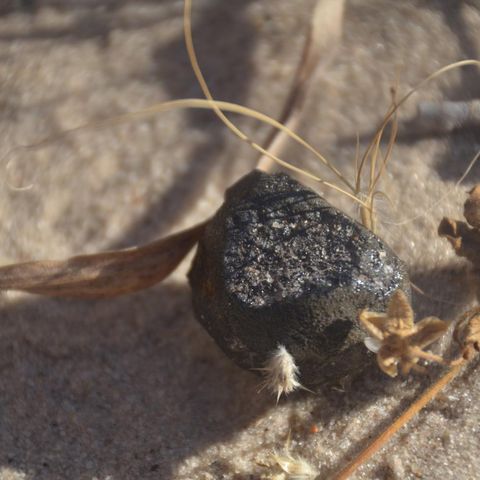 482-Botswana Fragment