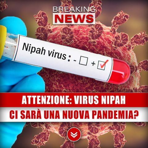 Attenzione, Virus Nipah: Ci Sarà Una Nuova Pandemia?