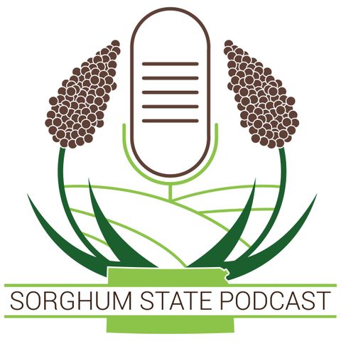 Welcoming New Faces | Exploring New Frontiers | Coming Soon: The Sorghum Connection Series