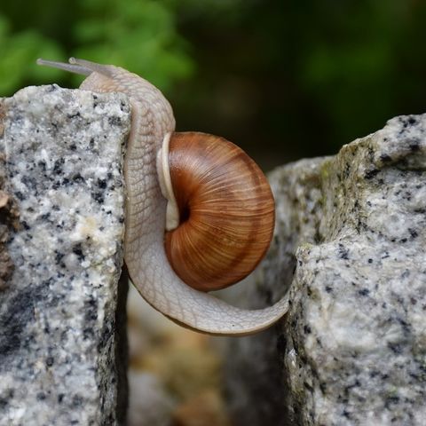 136- Come diventare "più soddisfatto"...della vita!