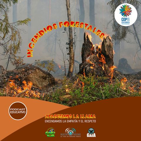 NUESTRO OXÍGENO Incendios Forestales - Apaguemos la llama encendamos la empatía y el respeto