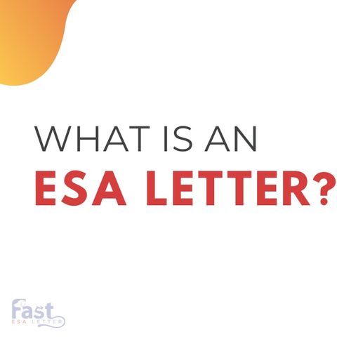 What is an Emotional Support Animal letter ESA letter and why you should get one?