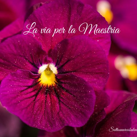 ✨ L'Armonia e la sua importanza✨