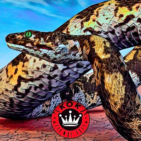 #24 Titanoboa: 7 Datos Tenebrosos sobre la Serpiente Gigante Extinta | Aterrados por KoK