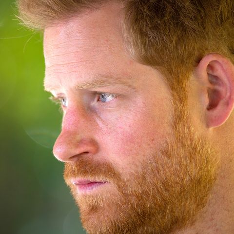 Prince Harry's War on the Media