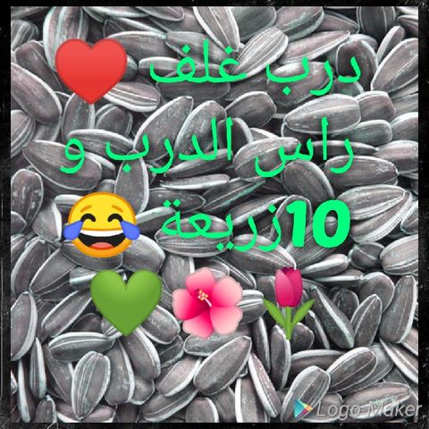 راديو درب غلف
