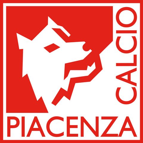 Castellanzese - Piacenza 0-2 D'Agostino 45'
