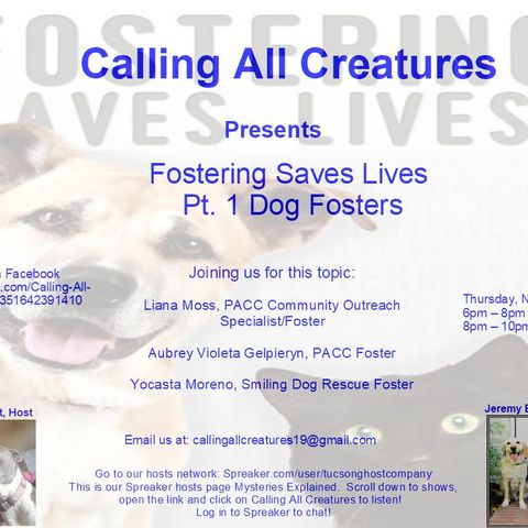 Fostering Saves Lives Pt. 1 - Dog Fosters