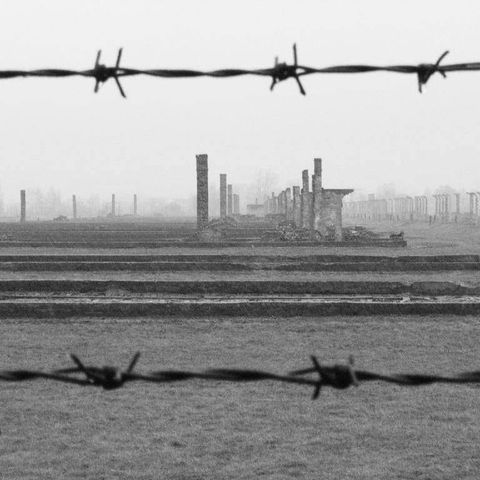 Giornata della memoria, FdI: “La città attende le scuse”. Gianesini: “Non siamo in un regime”