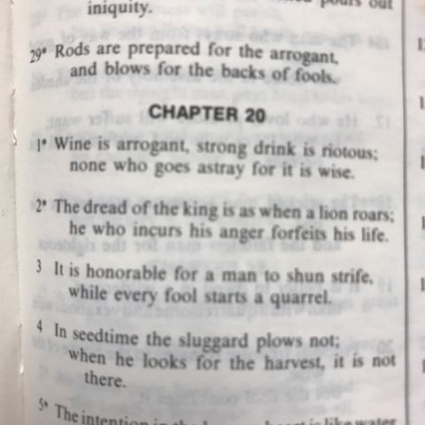 Chapter 20