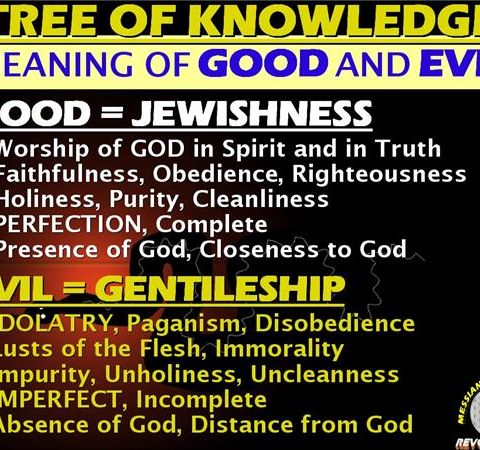 The Helios Biblios Hour (book of the SUN) :  I CREATE GOOD AND EVIL