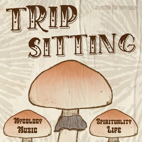 Podcast #19 - Is Tripping For Everyone?