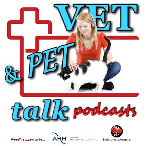 VETtalk #56 - Feature Story... CATastrophic Kidney Condition Caught Just In Time - Kasey Findlay